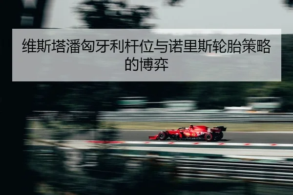 wei-si-ta-pan-xiong-ya-li-gan-wei-yu-nuo-li-si-lun-tai-ce-lve-de-bo-yi-2-688.jpg