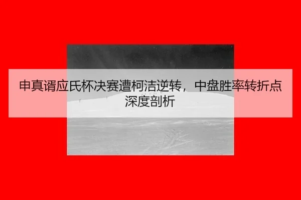 shen-zhen-xu-ying-shi-bei-jue-sai-zao-ke-jie-ni-zhuan-zhong-pan-sheng-lv-zhuan-zhe-dian-shen-du-pou-xi-3-734.jpg